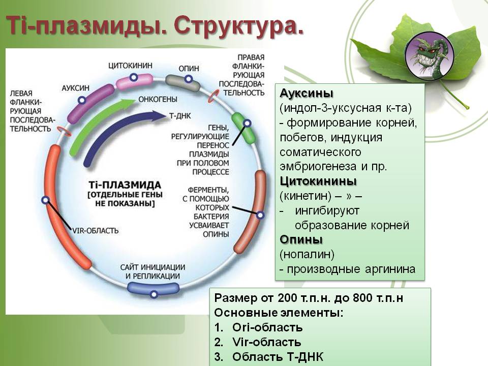 Как подключиться к даркнету