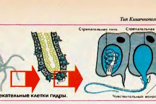 Сайт кракена актуальный