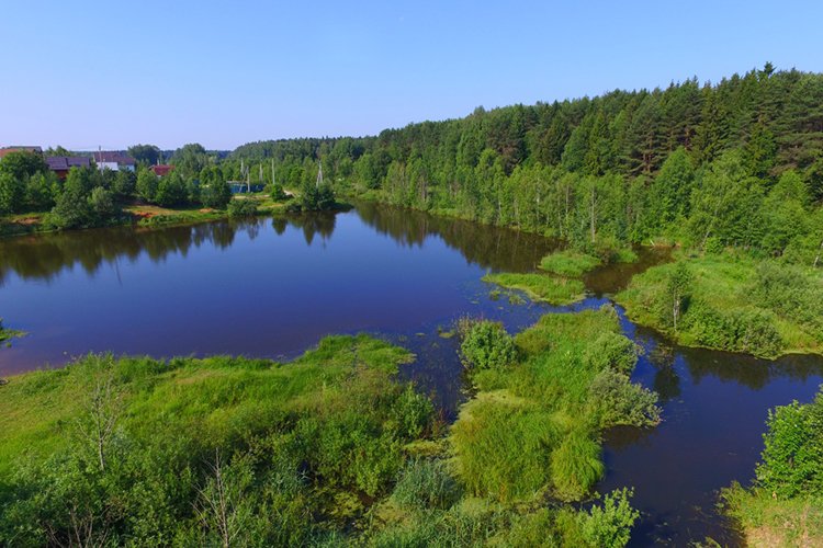 Кракен рабочий сайт